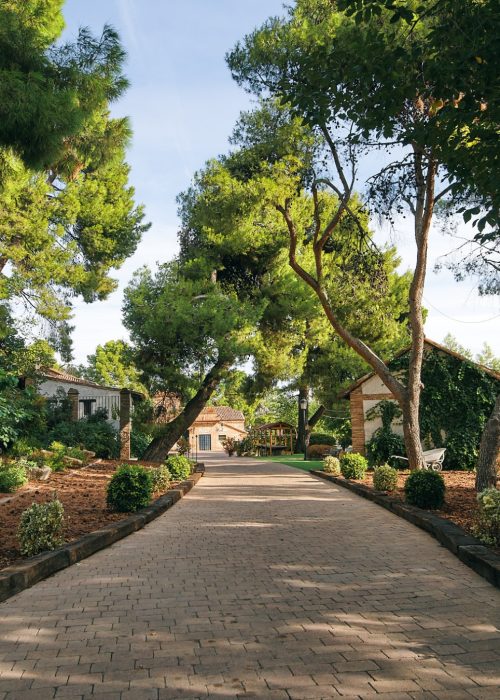 finca-bodas-palacio-del-negralejo-open-house (6)